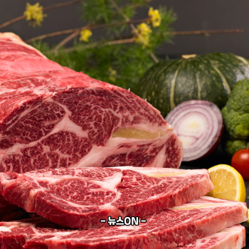 알부민 많은 음식