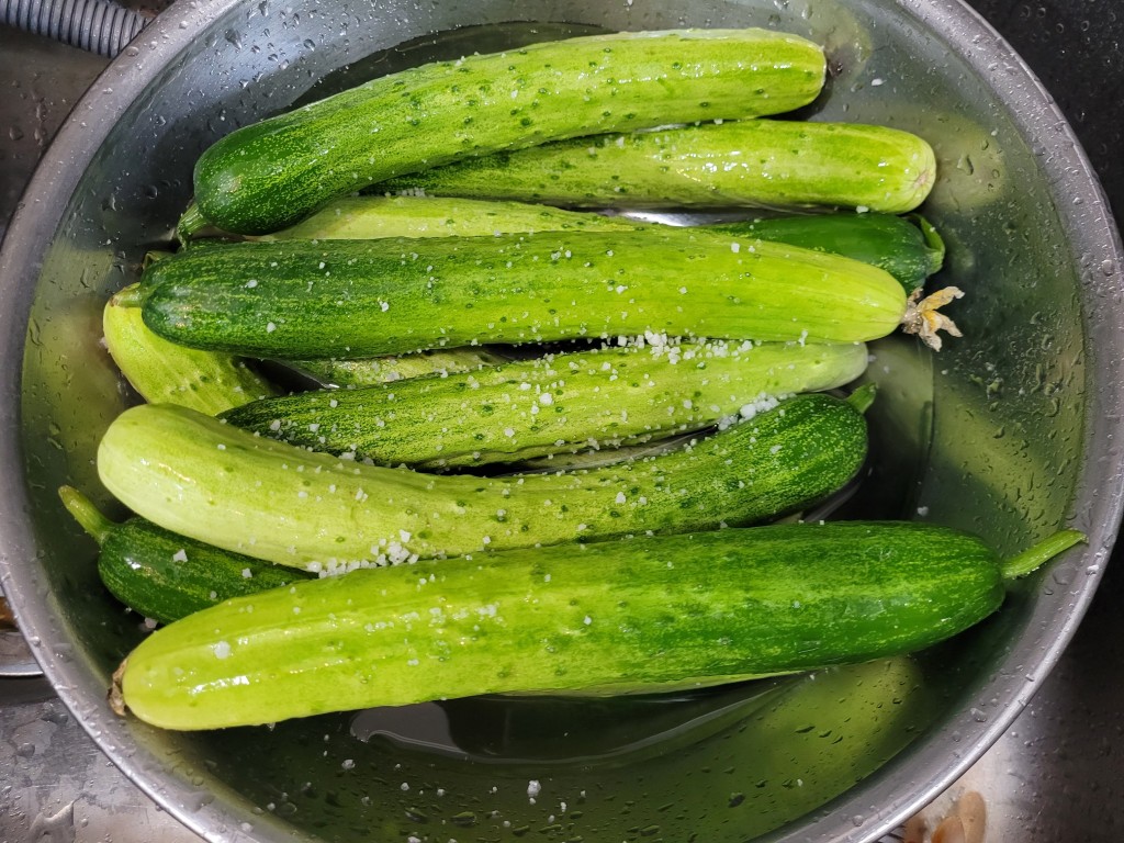 굵은소금을 이용해 오이를 세척하는 모습