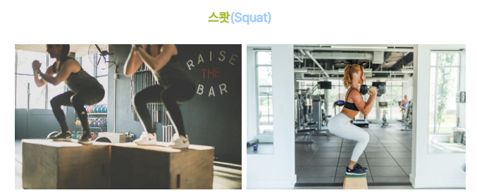 스쿼트
