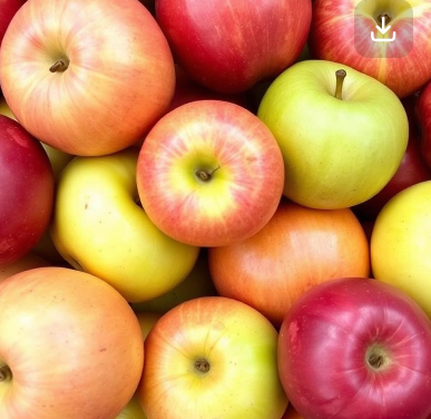 사과 이미지