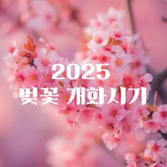 벚꽃 개화시기 2025 만개시기 히든스팟_18