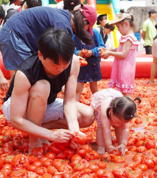퇴촌 토마토 축제 2026