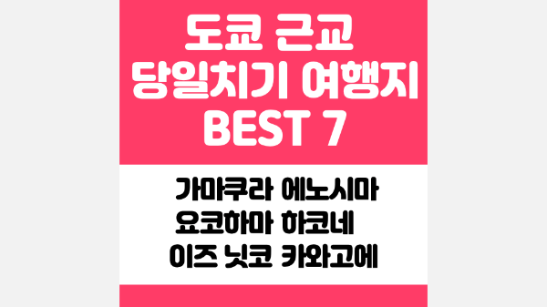 도쿄-근교-여행지-가마쿠라-에노시마-요코하마-하코네-이즈-닛코-카와고에-스이카-애플페이-일본-체크-카드-돈키호테-할인쿠폰