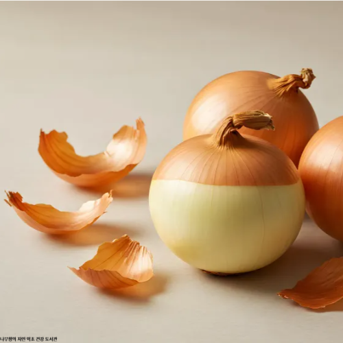 양파껍질