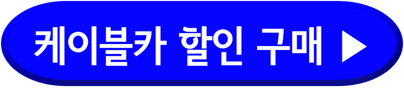 가리왕산 케이블카 할인구매