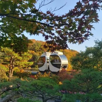 화담숲 예약하기 예약 방법 입장료 모노레일_21