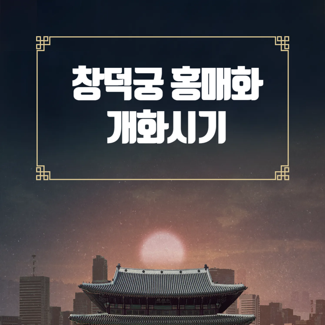 창덕궁 홍매화 개화시기 관람팁 총정리
