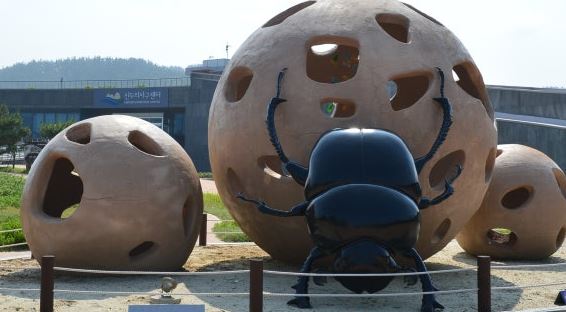 자연의 청소부 소똥구리를 통한 생태교육을 배우다