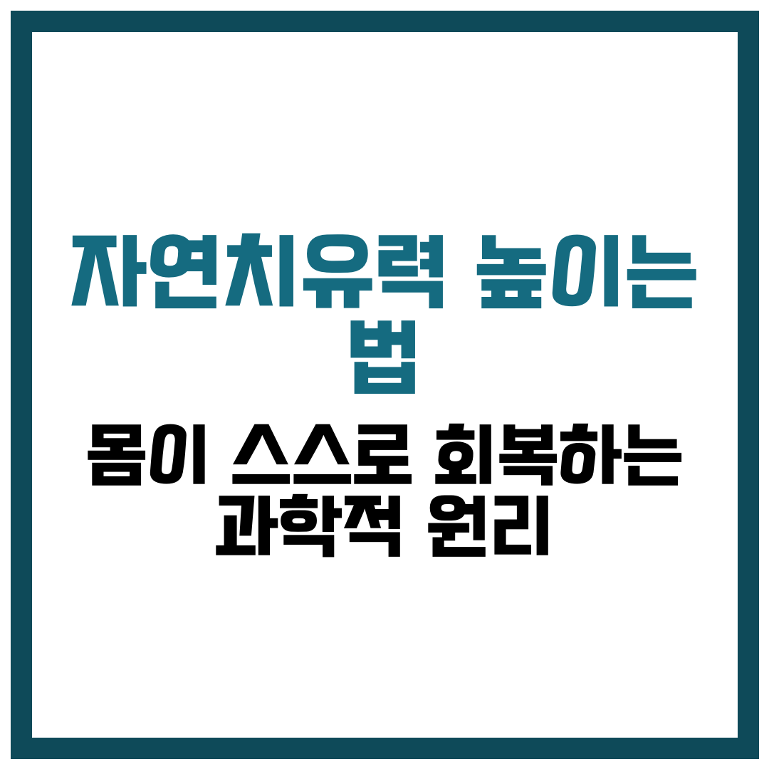 자연치유력 높이는 법