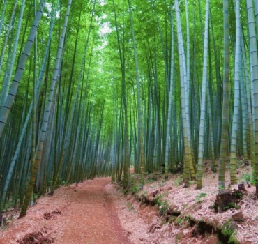 10월 부산 가볼 만한 곳