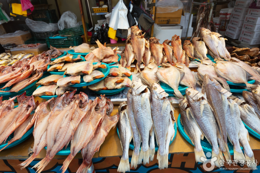 속초관광수산시장