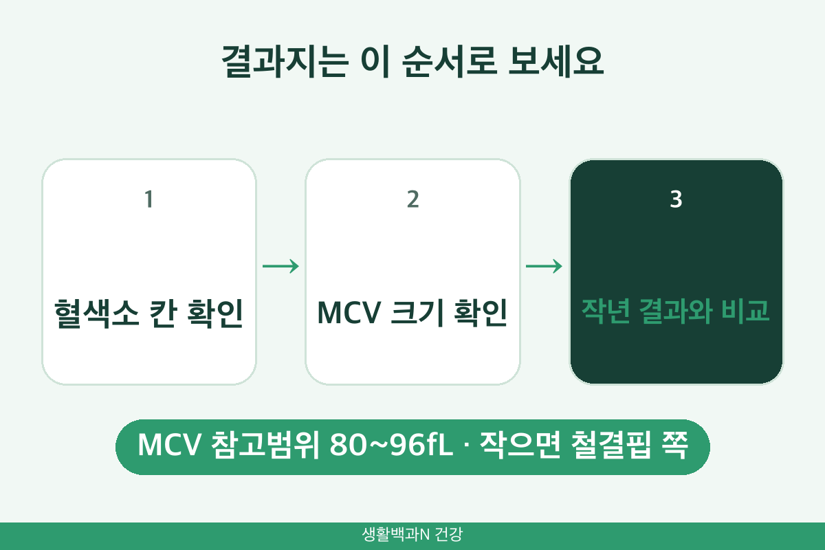 건강검진 결과지 빈혈 수치 읽는 법 혈색소 MCV 적혈구 크기 작년 결과 비교