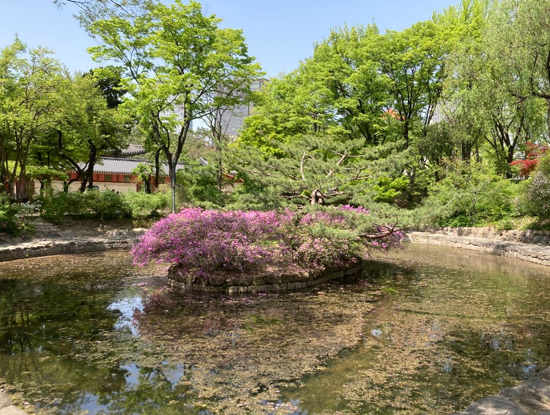 덕수궁