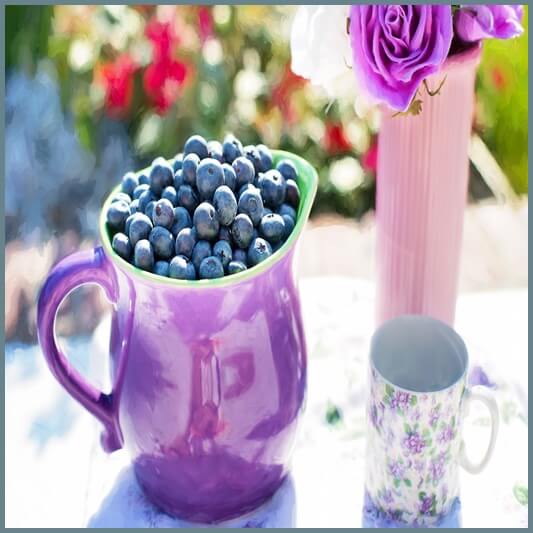 블루베리-부작용-주의사항