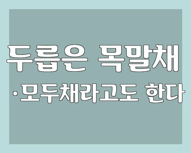 두릅은 목말채 ·모두채라고도 한다