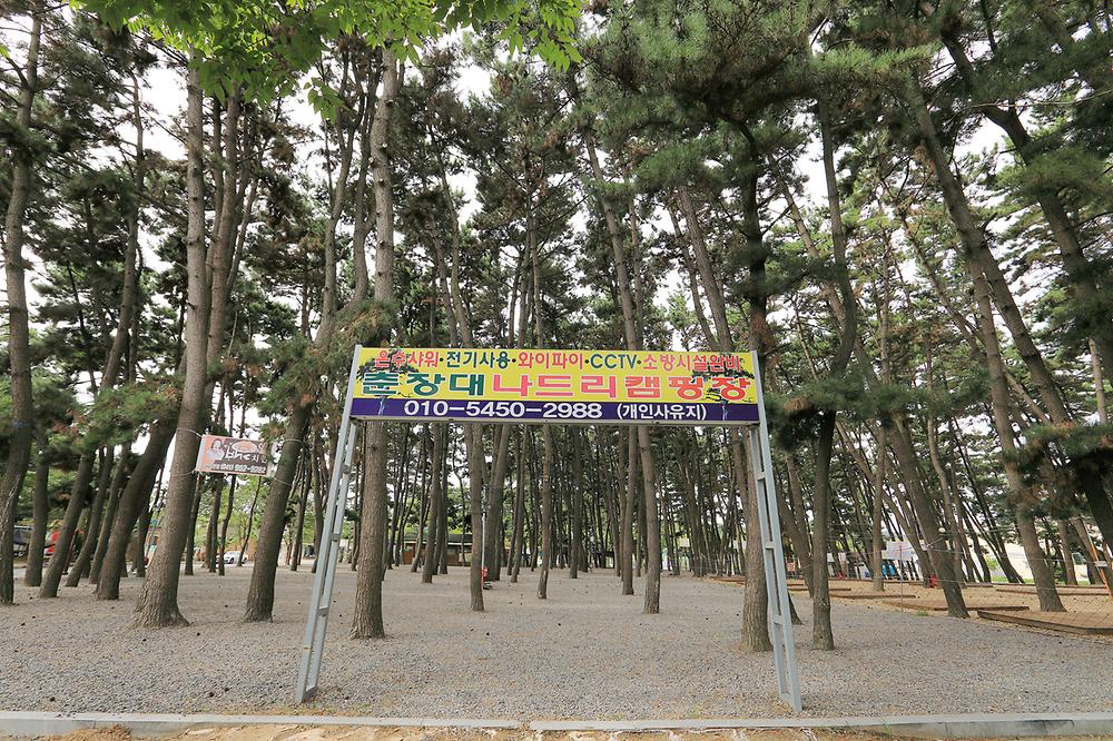 서천군 춘장대 나드리캠핑장 소개