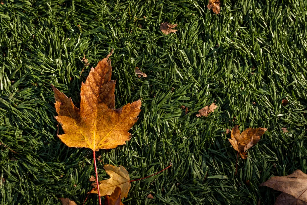 인조잔디-시공-방법-관련-사진