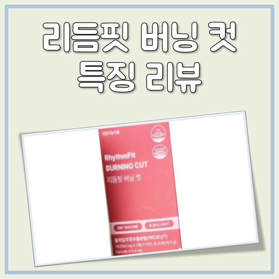 리듬핏 버닝 컷 대표 이미지