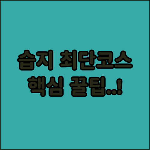 광주 무등산 평두메습지 충장사 최단 ..