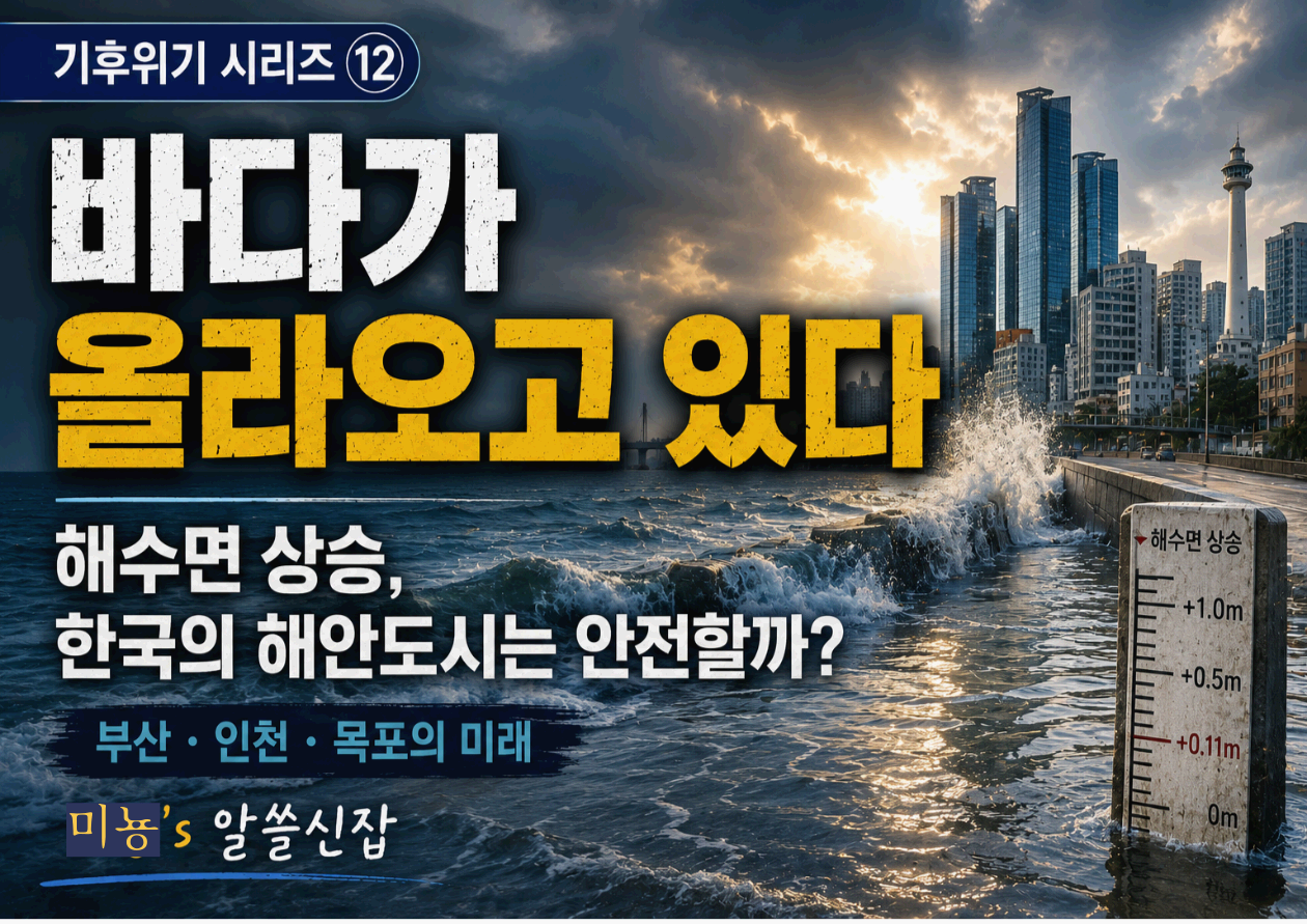 바다가 올라오고 있다｜해수면 상승, 한국의 해안도시는 얼마나 안전할까?