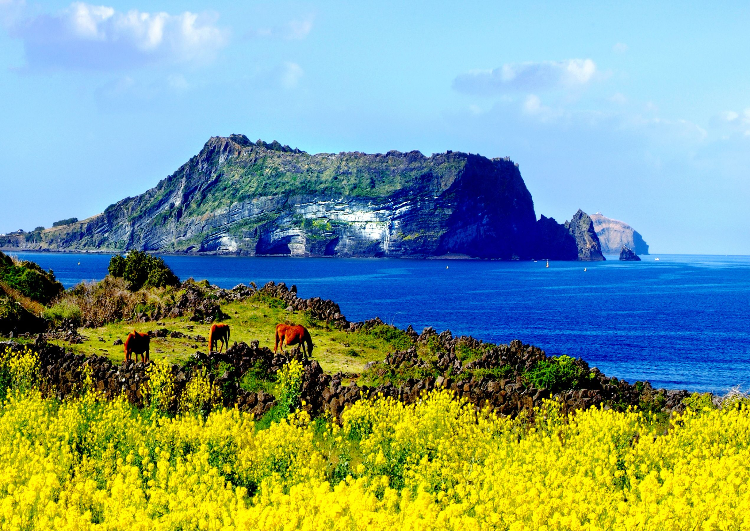 제주도 성산일출봉