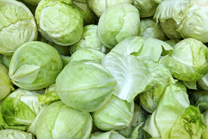 대장에 좋은 음식07