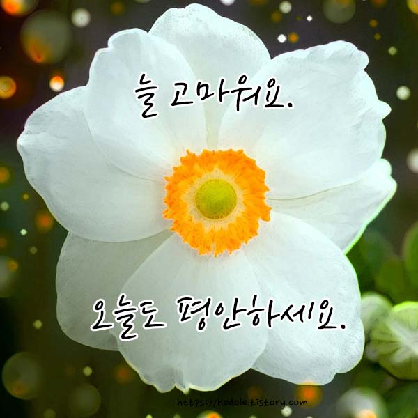 평안하세요