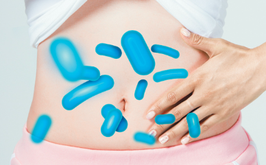 유산균 추천,프로바이오틱스