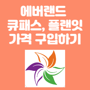 에버랜드 큐패스&#44; 플랜잇 가격 구입