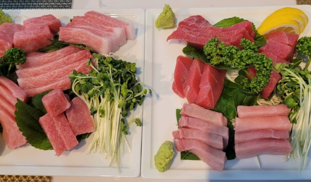 통영-욕지도-생참치