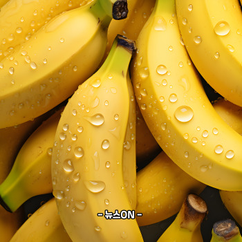 칼륨이 많은 음식