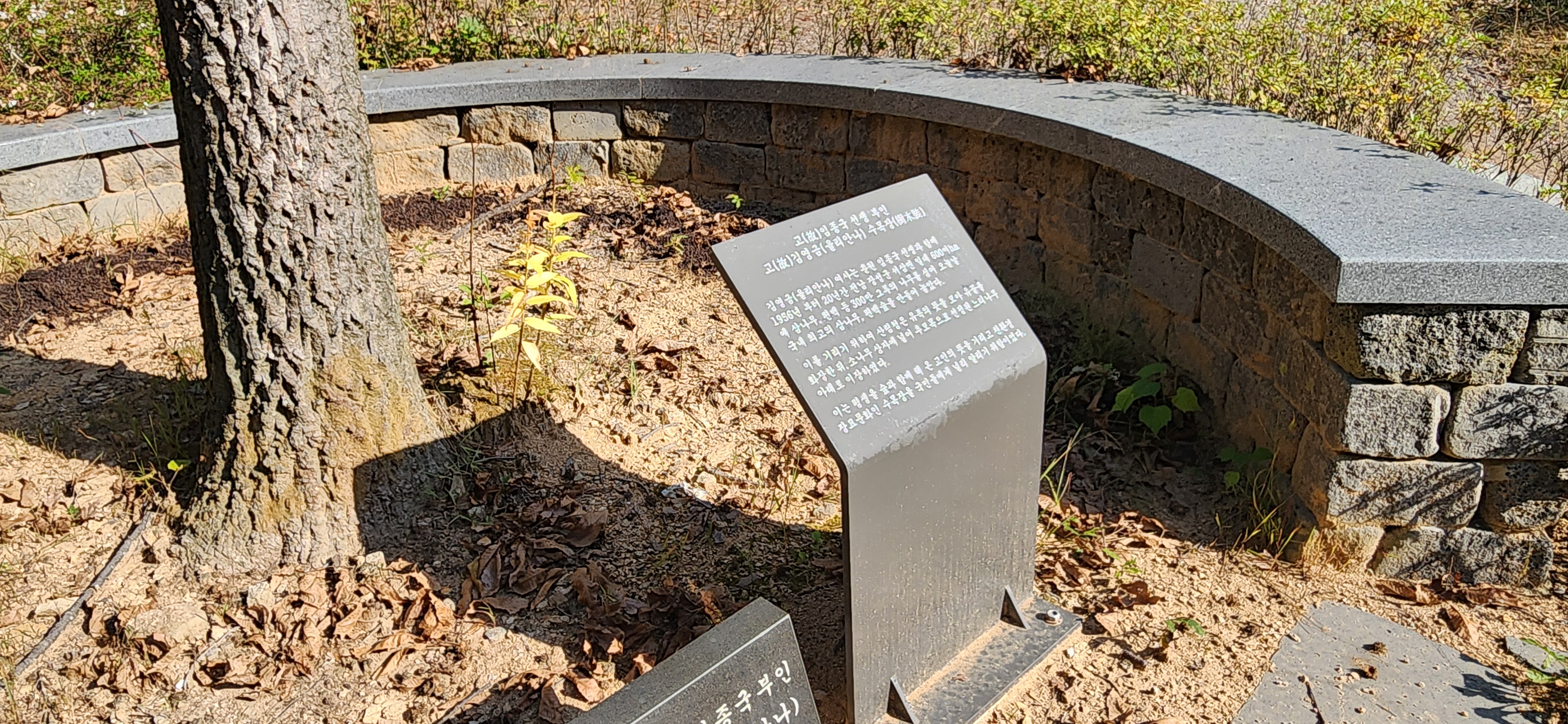 임종국 수목장과 김영금 여사 수목장