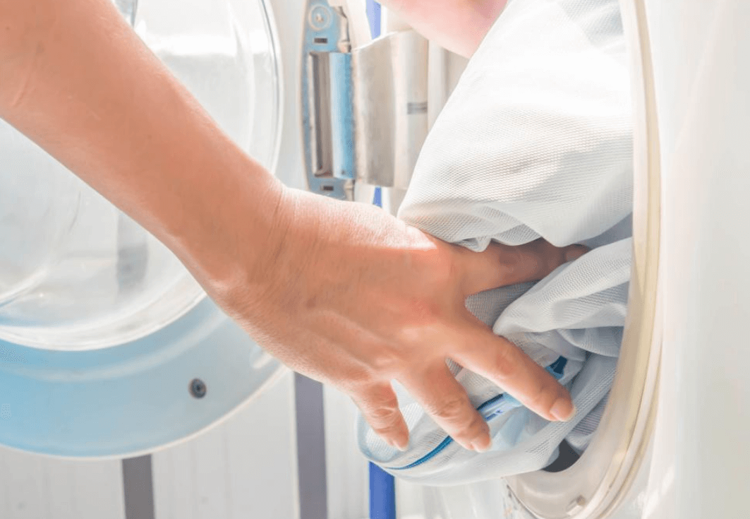 여행중빈대(베드버그)피하는법-빈대피하기수칙