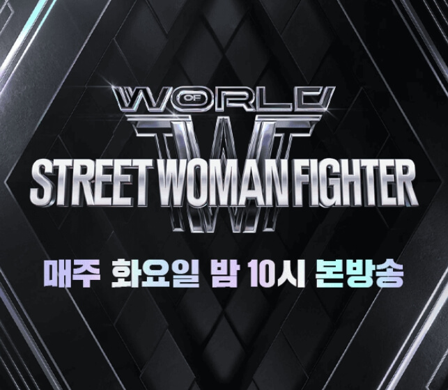 월드 오브 스트리트 우먼 파이터 기본 정보