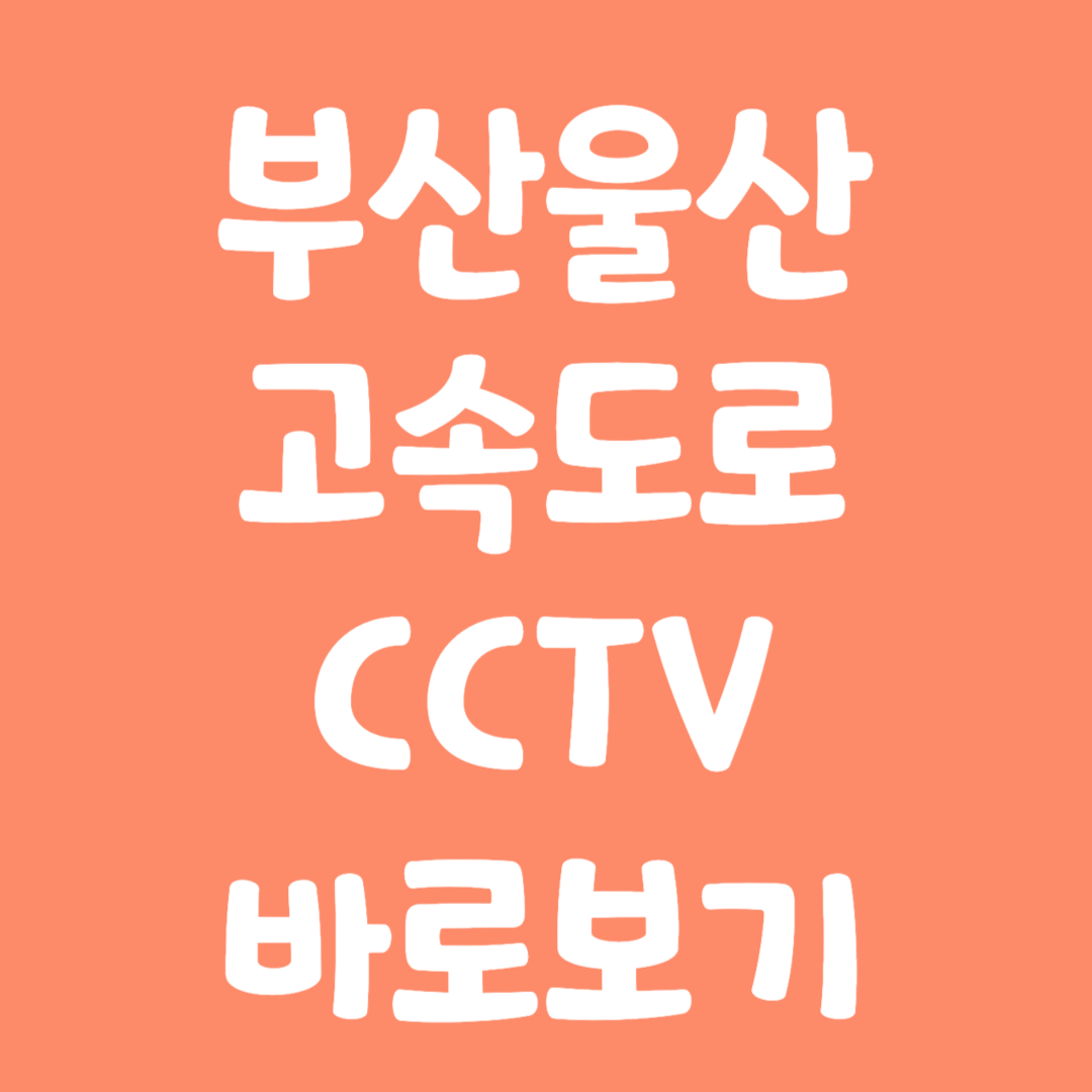 실시간 부산울산 고속도로 CCTV 바로보기