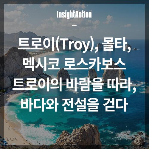 트로이 썸네일