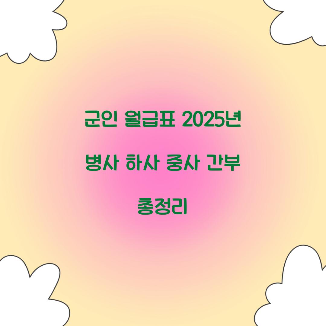 군인 월급표