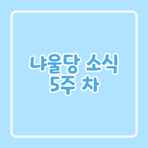 냐울당 소식 5주 차