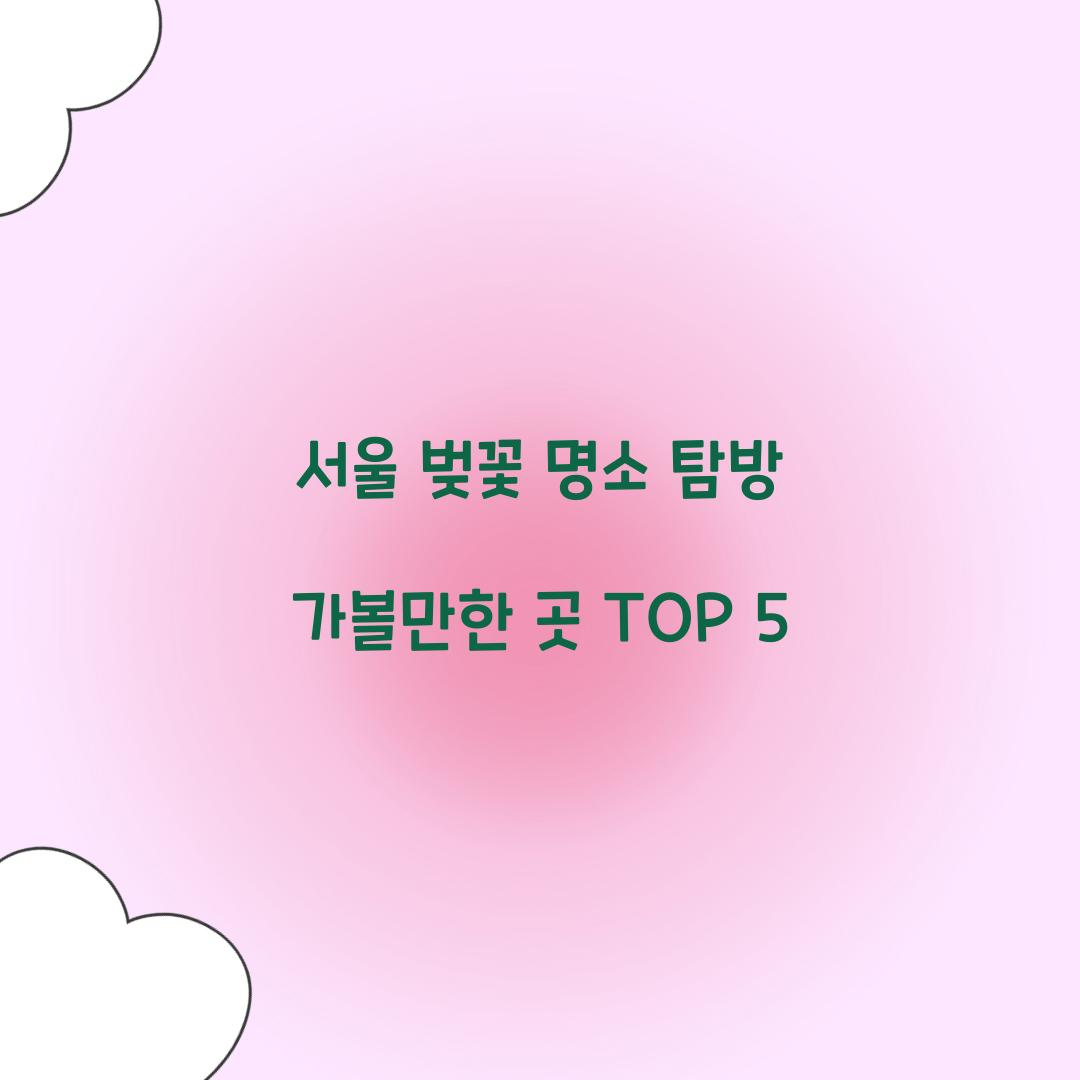 서울 벚꽃 명소