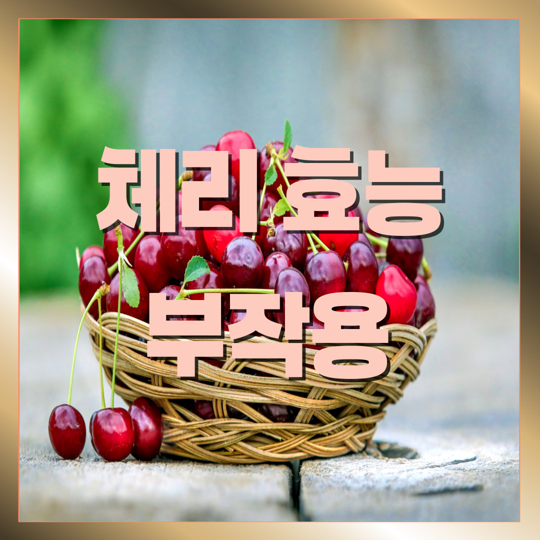 체리 효능 부작용