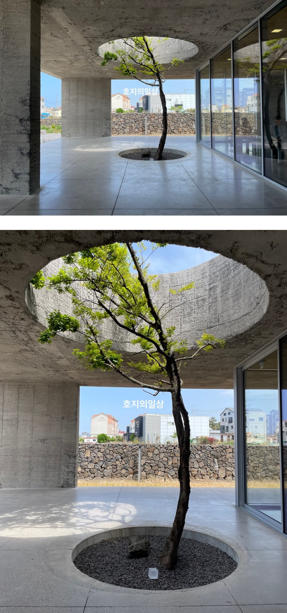 제주 카페,진정성 종점 - 건물 인테리어 나무