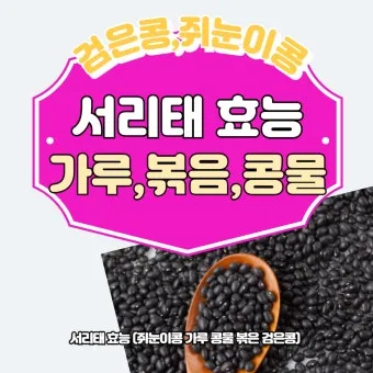 서리태 효능 콩물 만드는방법 수확시기 서리태콩 정보_11
