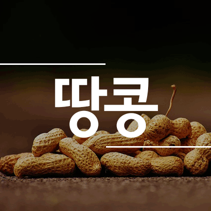 땅콩효능