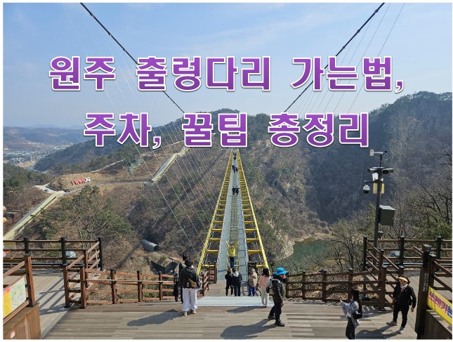 원주 출렁다리 가는법, 주차, 꿀팁 총정리 사진