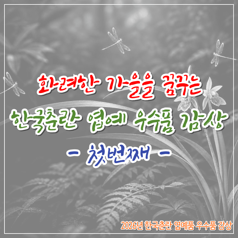 2026 한국춘란 엽예 우수품 감상