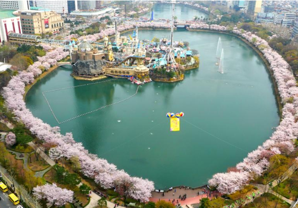 석촌호수 벚꽃 축제