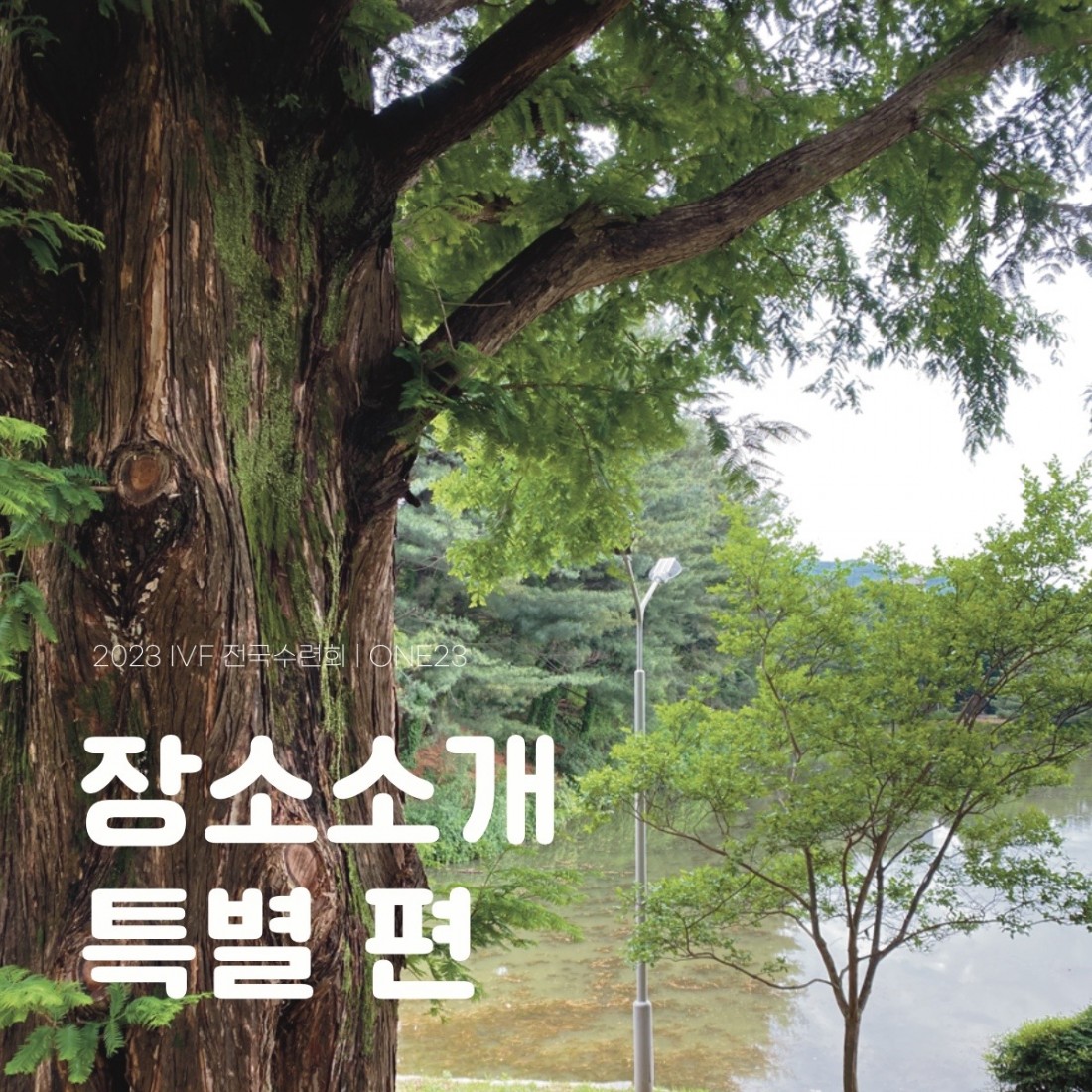 교회 수련회 장소