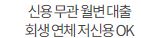자동차 캐피탈 이자