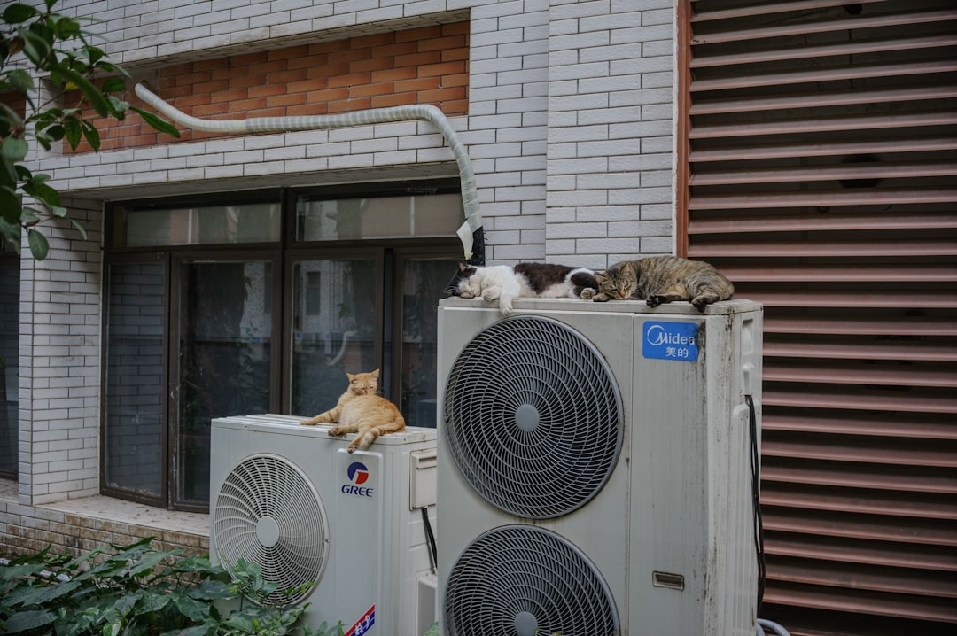 Heatstroke