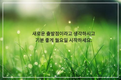 이슬이 맺힌 잔디